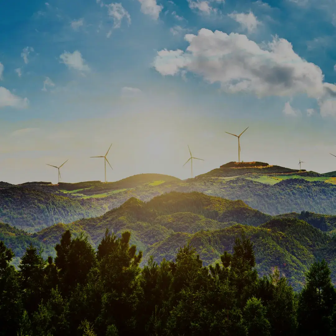 Deep Commitment to a Sustainable Tomorrow